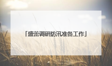 盛蕾调研防汛准备工作