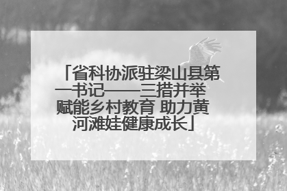 省科协派驻梁山县第一书记——三措并举 赋能乡村教育 助力黄河滩娃健康成长