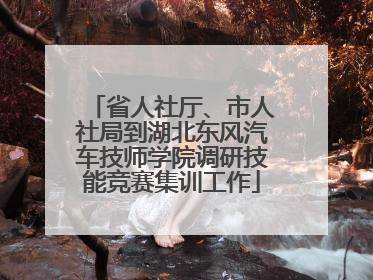 省人社厅、市人社局到湖北东风汽车技师学院调研技能竞赛集训工作