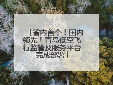 省内首个！国内领先！青岛低空飞行监管及服务平台完成部署