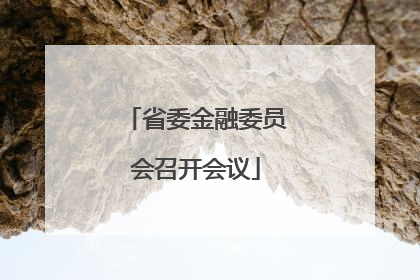 省委金融委员会召开会议
