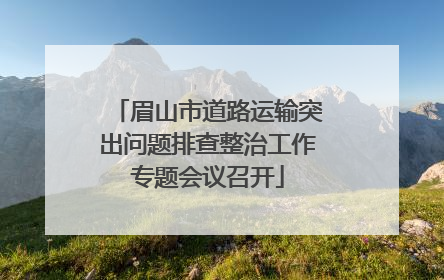眉山市道路运输突出问题排查整治工作专题会议召开