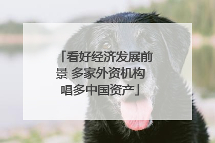 看好经济发展前景 多家外资机构唱多中国资产