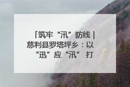 筑牢“汛”防线｜慈利县罗塔坪乡：以“迅”应“汛” 打赢暴雨防御战
