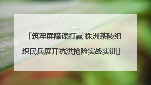 筑牢屏障谋打赢 株洲茶陵组织民兵展开抗洪抢险实战实训