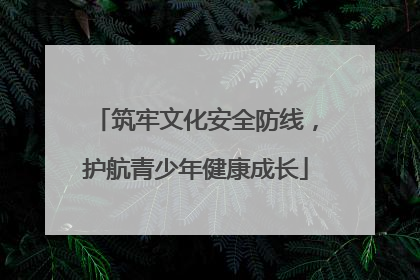 筑牢文化安全防线，护航青少年健康成长