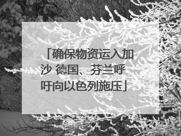 确保物资运入加沙 德国、芬兰呼吁向以色列施压