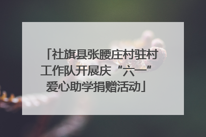 社旗县张腰庄村驻村工作队开展庆“六一”爱心助学捐赠活动