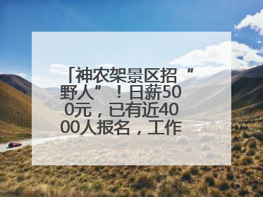 神农架景区招“野人”！日薪500元，已有近4000人报名，工作职责包括“接受游客投喂”