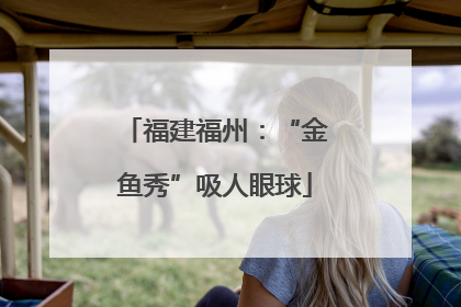 福建福州：“金鱼秀”吸人眼球