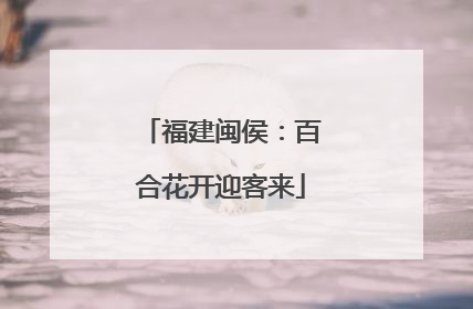 福建闽侯：百合花开迎客来
