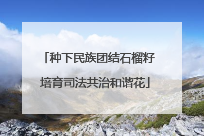 种下民族团结石榴籽 培育司法共治和谐花