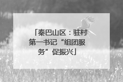秦巴山区：驻村第一书记“组团服务”促振兴