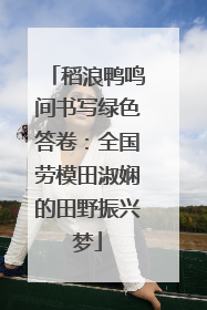 稻浪鸭鸣间书写绿色答卷：全国劳模田淑娴的田野振兴梦