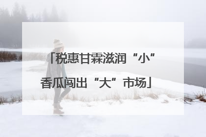 税惠甘霖滋润“小”香瓜闯出“大”市场