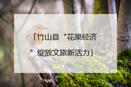 竹山县“花果经济”绽放文旅新活力