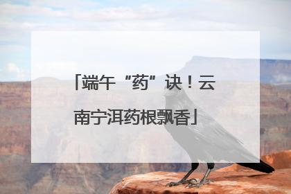 端午“药”诀！云南宁洱药根飘香