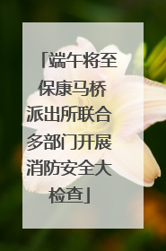 端午将至 保康马桥派出所联合多部门开展消防安全大检查