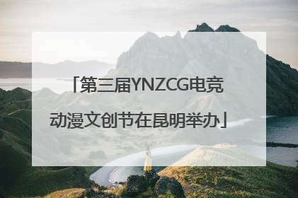 第三届YNZCG电竞动漫文创节在昆明举办