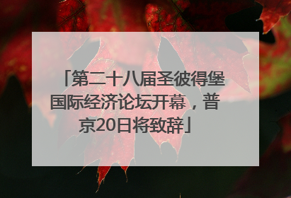 第二十八届圣彼得堡国际经济论坛开幕，普京20日将致辞