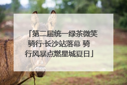 第二届统一绿茶微笑骑行·长沙站落幕 骑行风暴点燃星城夏日