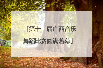 第十三届广西音乐舞蹈比赛圆满落幕