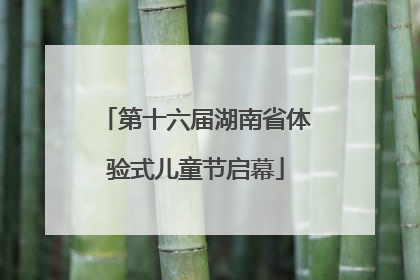 第十六届湖南省体验式儿童节启幕