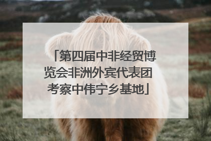 第四届中非经贸博览会非洲外宾代表团考察中伟宁乡基地