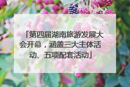 第四届湖南旅游发展大会开幕，涵盖三大主体活动、五项配套活动