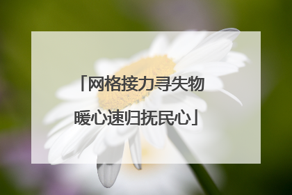 网格接力寻失物 暖心速归抚民心