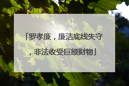 罗孝廉，廉洁底线失守，非法收受巨额财物