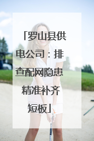 罗山县供电公司：排查配网隐患 精准补齐短板