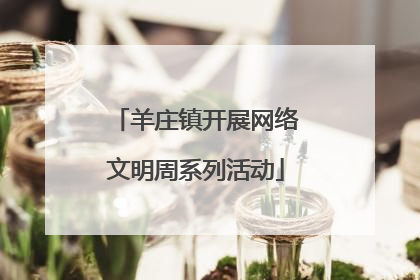 羊庄镇开展网络文明周系列活动