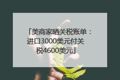 美商家晒关税账单：进口3000美元付关税4600美元
