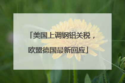 美国上调钢铝关税，欧盟德国最新回应
