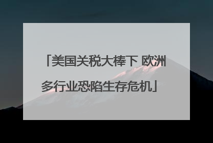 美国关税大棒下 欧洲多行业恐陷生存危机