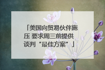 美国向贸易伙伴施压 要求周三前提供谈判“最佳方案”