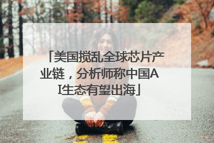 美国搅乱全球芯片产业链，分析师称中国AI生态有望出海