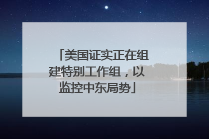 美国证实正在组建特别工作组，以监控中东局势