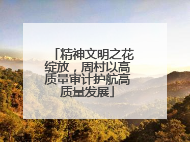 精神文明之花绽放，周村以高质量审计护航高质量发展