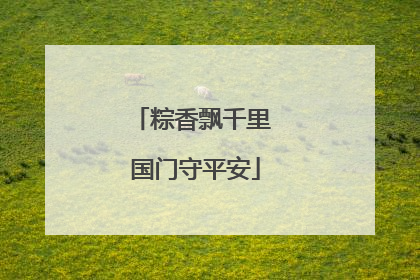 粽香飘千里 国门守平安