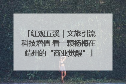 红观五溪｜文旅引流 科技增值 看一颗杨梅在靖州的“商业觉醒”