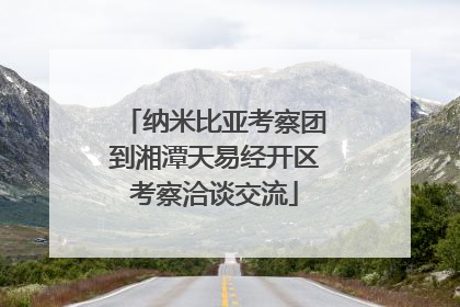 纳米比亚考察团到湘潭天易经开区考察洽谈交流