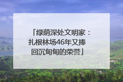 绿荫深处文明家：扎根林场46年又捧回沉甸甸的荣誉