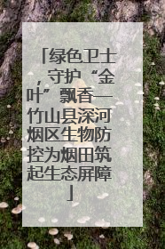 绿色卫士，守护“金叶”飘香—竹山县深河烟区生物防控为烟田筑起生态屏障