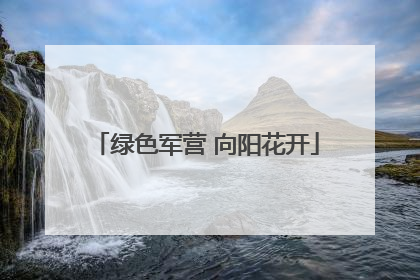 绿色军营 向阳花开