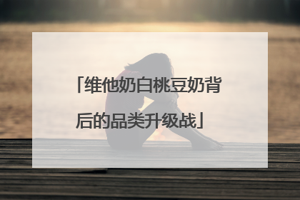 维他奶白桃豆奶背后的品类升级战