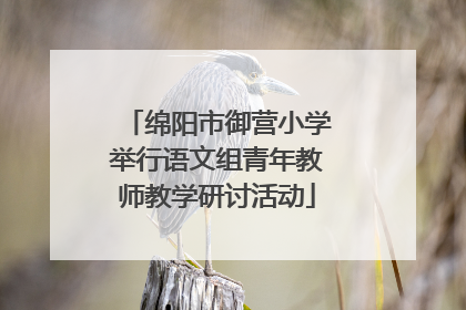 绵阳市御营小学举行语文组青年教师教学研讨活动