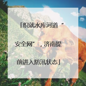 织就水库河道“安全网”，济南提前进入防汛状态