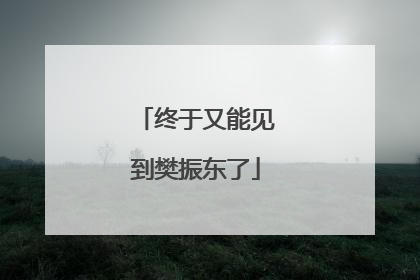 终于又能见到樊振东了